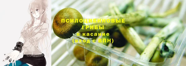 крисы Абаза