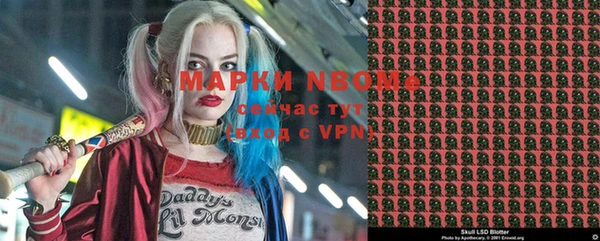 крисы Абаза