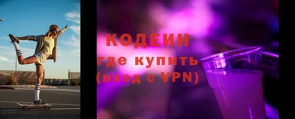 крисы Абаза