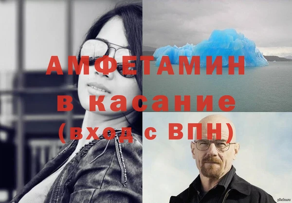 крисы Абаза