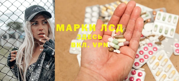 крисы Абаза